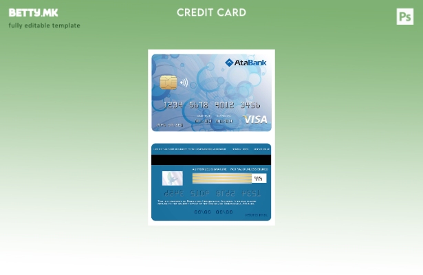 Модерен стил Шаблон за виза на банката Ата на Босна и Херцеговина